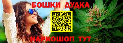меф Гатчина