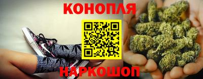 меф Гатчина