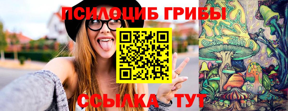 Вязники  Галлюциногенные грибы Cubensis  Вход с VPN 