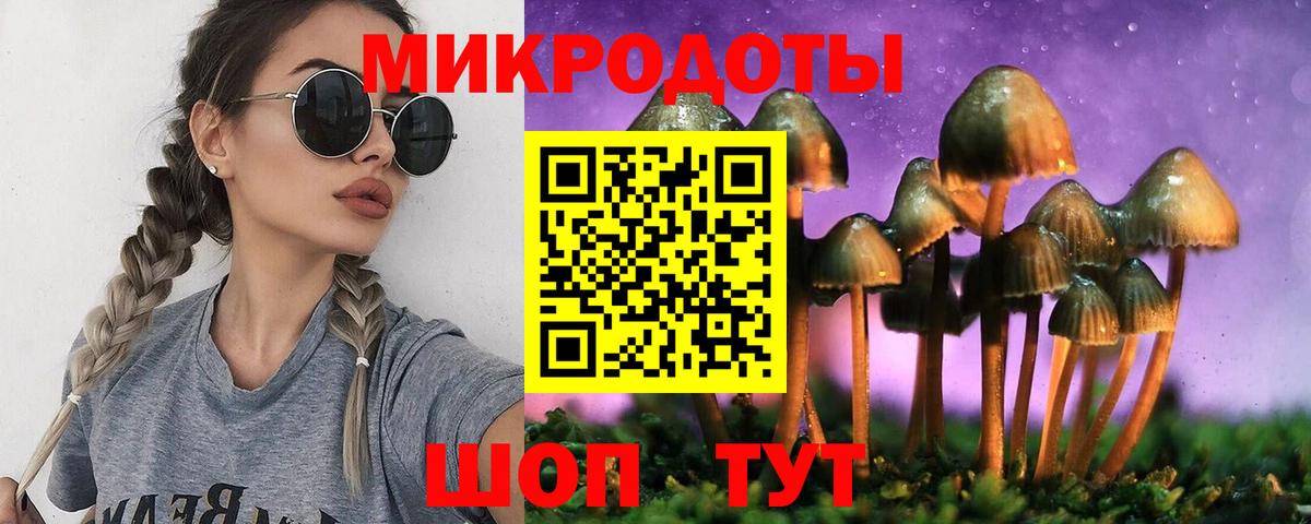 Псилоцибиновые грибы Magic Shrooms Вязники